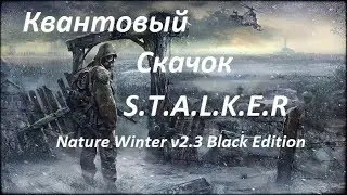STALKER  (проба)  Nature Winter v2.3 Black Edition в 20 30  МСК