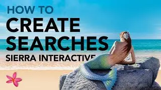 Sierra Interactive Designs how to set searches