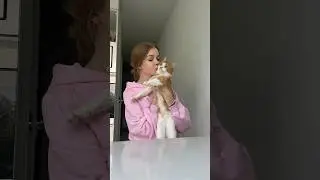 АВТОКОРМУШКА С WB 