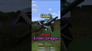 Minecraft, But YOU Control My Speedrun...