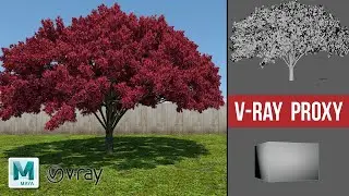 Maya + Vray | How to render heavy scenes & reduce Memory Footprint With V-Ray Proxy