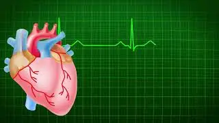 Heart Beats Ecg Heart Medical Health Heartbeat link 🔗 in👇 Description / Vfx scene