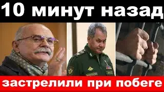 10 минут назад / чп ,застрелили при побеге / Шойгу,Михалков / новости комитета