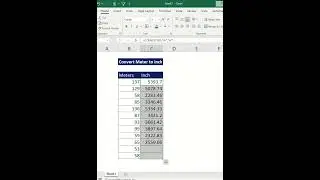 Excel Shortcuts: Convert Meters to Inches in Seconds!