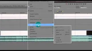 How to detach audio from videos on sony vegas (BASICS)