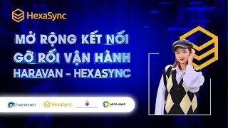 Tích hợp Haravan và Misa Amis bằng nền tảng tích hợp HexaSync