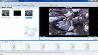 How to Capture Image from Video in Windows Movie Maker