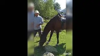 Джип тур и конная прогулка в ущелье Гондарай