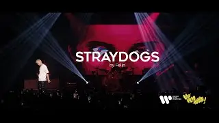 Felip - STRAYDOGS (Live at We Play Here)