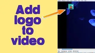 How to add logo in video