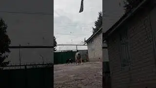 не под звук ну ладно