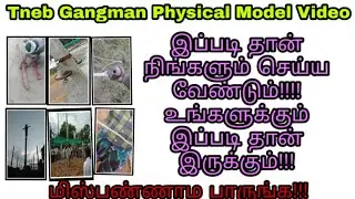Tneb Gangman Physical Model Video!!!/உங்களுக்கும் இப்படி தான் இருக்கும்