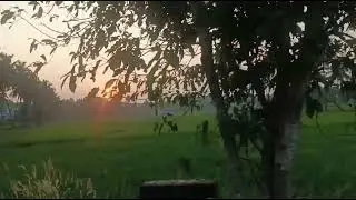 palakkad