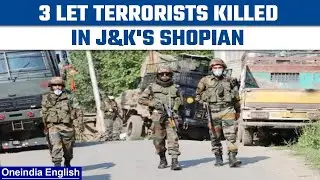 J&K: 3 LeT terrorists killed in Shopian encounter; search operation underway | Oneindia News*News