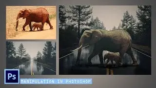 Photoshop tutorial - How to manipulate photos in photoshop