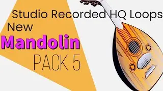 Free Mandolin Loops - Mandolin Loops Pack 5 | Romantic Punjabi loops kit | loop kit |  #ybloopspack