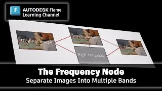 The Frequency Node - Flame 2025.1