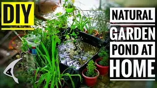 How to make a fish pond at home || Budget DIY || Garden ideas || Balcony Decorating Ideas India