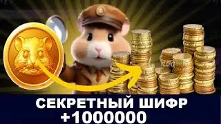 Новый шифр на 21 июня в Хамстер Комбат | Ежедневный шифр в хомяке на 1000000 монет 21.06