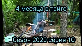 4 месяца в тайге. Сезон 2020 серия 10. Рыбалка, Жерлицы, Щука, Язь Новый табор.