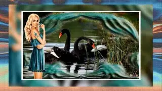 Проект, стили,  переходы  ProShow.  ИЛЬИЧЕВА ЕЛЕНА   ЛЕТИТЕ.