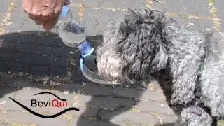 Удобная и практичная поилка-насадка для собак