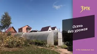 Как спасти  урожай во время заморозков, советы экспертов