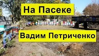 На Пасеке больше 200 семей Карника✅ Вадим Петриченко Хорольский р-н