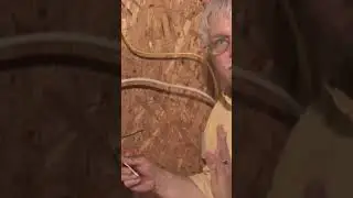 4 Way Switch Wiring