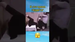 🤭 Согласны?  