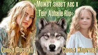 "Может Знает Лес" x "Teir Abhaile Riu" Софья Фисенко & Софья Жоричева, produced by Никита Жоричев