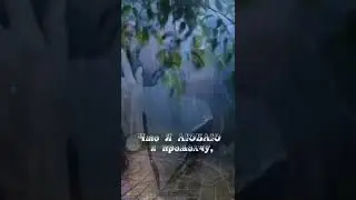 А хочешь я тебе приснюсь...(Автор: Раиса Стрельникова)