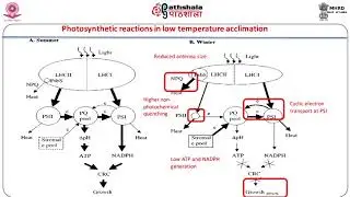 Low temperature stress