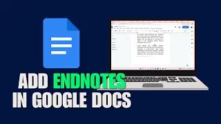 How To Add Endnotes In Google Docs