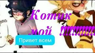 ,,Котик мой