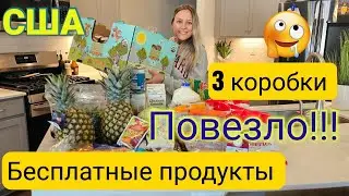 СТОЛЬКО ещё не было!!/Бесплатка удивила не на шутку/МНОГО бесплатных продуктов в США/Фудбанк/Америка