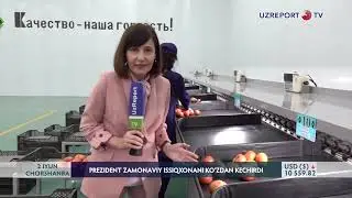Prezident Surxondaryoda zamonaviy issiqxonani ko‘zdan kechirdi