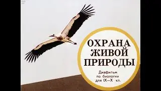 Охрана живой природы. Студия Диафильм, 1989 г. Озвучено