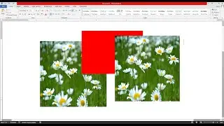 How to send back pictures in ms word