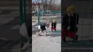 СПОРИМ ТЫ НЕ НАЗОВЁШЬ ТРИ СЛОВА НА БУКВУ П🤪