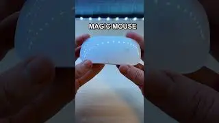 I Skinned The Apple Mouse