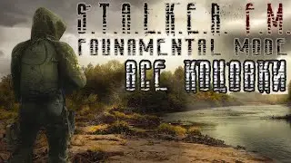 ✅ Что я ненавижу в Stalker FM Прохождение - Все Концовки и Как их получить #ForastPlay