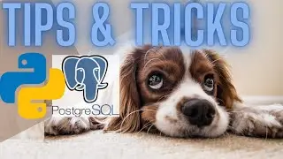 HOW TO TIPS AND TRICKS: POSTGRESQL (PSQL) PYTHON FOR DATA SCIENCE OR DATA ENGINEERS | psycopg2