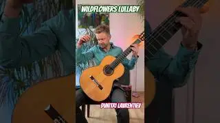 Wildflowers Lullaby - Dimitri Lavrentiev. New piece for guitar solo #music #guitar