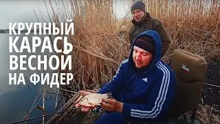 Ловля Крупного Карася в Городе! Фидерная Рыбалка с Александром Задорожным 2020!