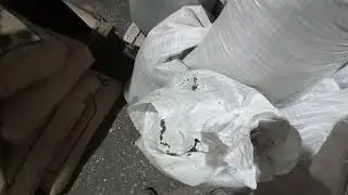 19 октября 2021 г.