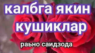 янги кун муборак