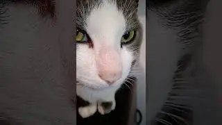 VID 20230603 192728