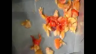 Tomato seed collecting separator machine