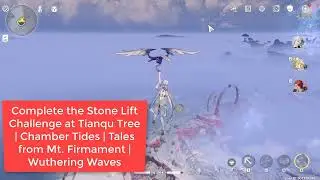 Complete the Stone Lift Challenge at Tianqu Tree | Chamber Tides | Wuthering Waves